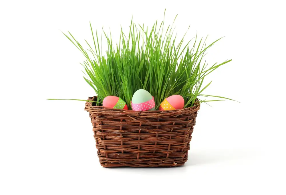 Adult Easter Basket